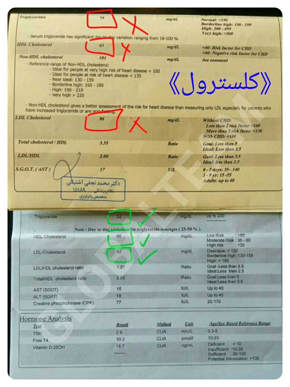 قهوه های گانودرما و خواص بینظیرشان
