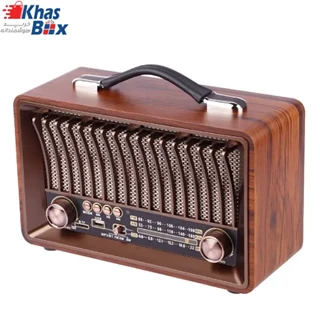 اسپیکر رادیویی بی سیم قابل حمل رایسنگ مدل R-1918BT