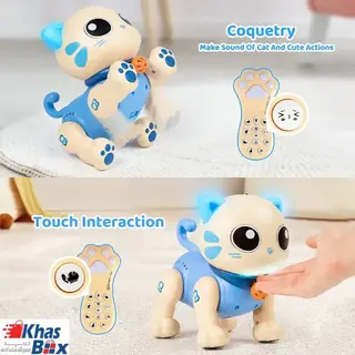 گربه کنترلی هوشمند