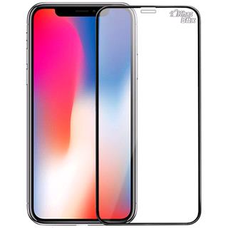 گلس اپل پرایوسی Iphone X/XS