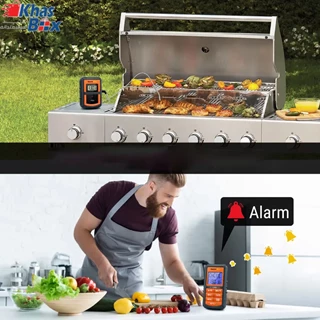 دماسنج غذا